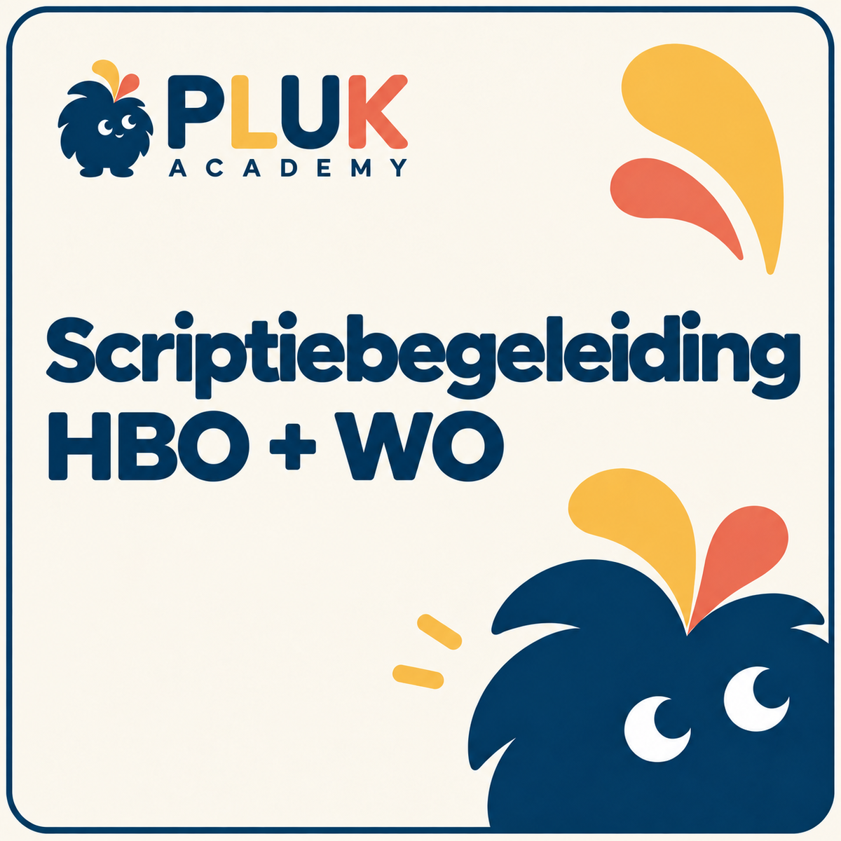 Scriptiebegeleiding