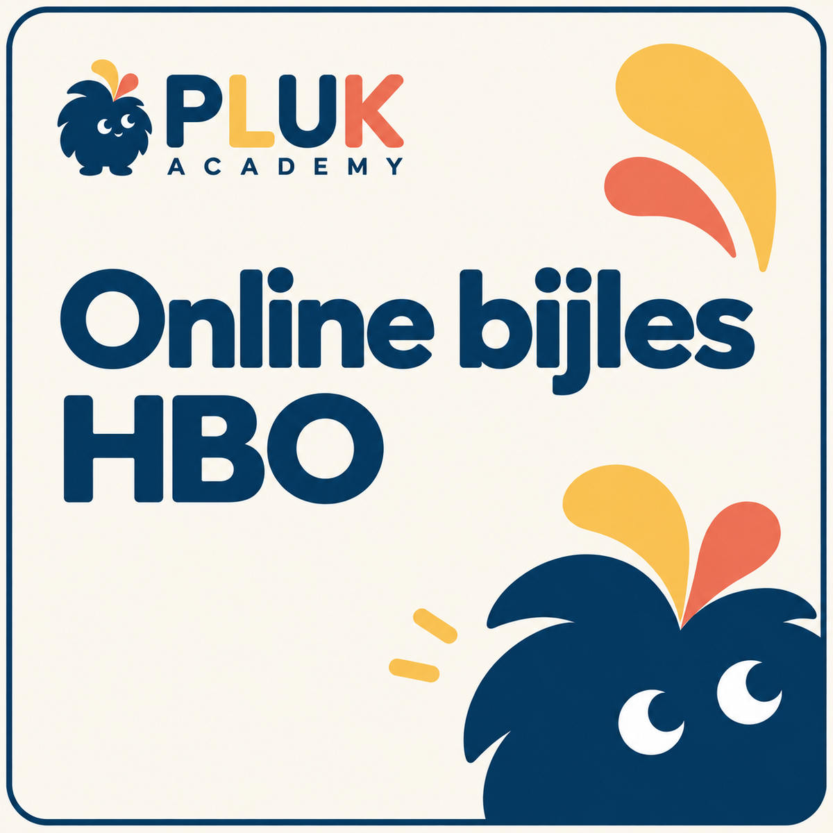 Online bijles HBO