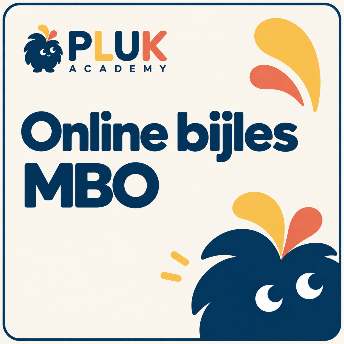 Online bijles MBO